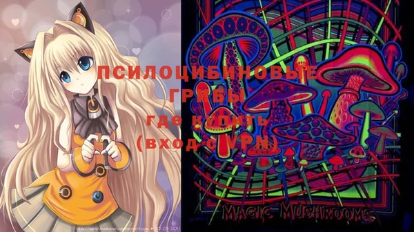 эйфоретик Аркадак