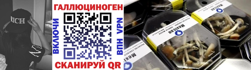 Галлюциногенные грибы Psilocybine cubensis  Соль-Илецк 